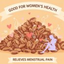 의성농산 | 홍화씨 효능 먹는법 파는곳 부작용까지