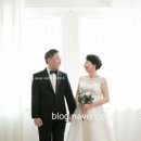 스텔라웨딩 이미지