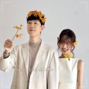 11650-1-10-558 | 김지영 트레바리 윤수영 결혼 2개월 스킨십 공개, 강남 558평 기업규모 (동상이몽2)