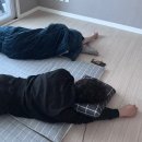 준영카 | 벌써 설날이 코앞이라니!