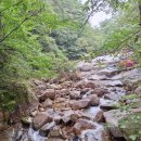 도림사계곡 | 곡성 동악산 등산코스/ 도림사코스, 신선바위코스, 계곡산행지