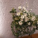 우림교회 이미지