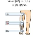 클라라필라테스자이로토닉 네이버블로그