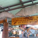 늘푸른농장 이미지