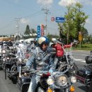 할리(HARLEY) 이미지