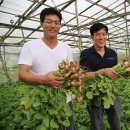 남수농장 이미지