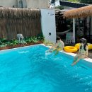 가평 감성 가비 스테이 이미지