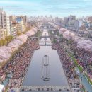 점촌전통시장 (구 신흥시장) | 서울 벚꽃축제 추천 불광천 벚꽃 은평의 봄 일정 공연 핵심만 보기