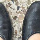 쿠에른 로마 ROME 08 BALLET FLAT 내돈내산 착용 후기