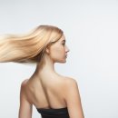 낙원미용실 이미지