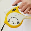 자동산책길 이미지