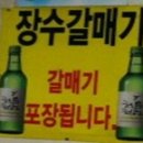 장수갈매기 이미지