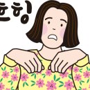 하마운동화손세탁 이미지