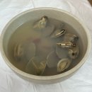 이마트24태안안면꽃지점 | 충남 태안 안면도 1박2일 (게국지, ATV, 아일랜드 리솜, 회덮밥, 자연휴양림)