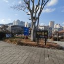 남승룡길 이미지