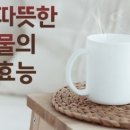 ♡따뜻한 물 한잔과 100세 인생♡ 이미지