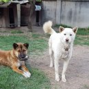 검산 농장 이미지