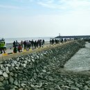 남당항 이미지