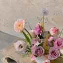 아미플레르 이미지