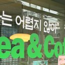 원티트립