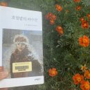 &lt;호밀밭의 파수꾼&gt; J.D. 샐린저 독서모임 후기 (2)