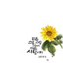 글씨테라피, 캘리그라피 이미지