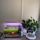 오늘짬뽕 | 전주 짬뽕 맛집 월드컵경기장 근처에 위치한 반월동 맛집 오늘짬뽕 해물짬뽕 탕수육 후기