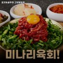 효자동솥뚜껑고양