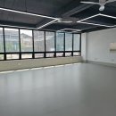 마루콩콩 이미지