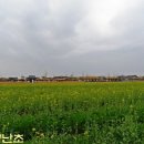 화개농산
