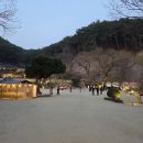 서원3 | 안동 도산서원 야간개장 3월 아이랑 매화명소 후기 (주차 입장료 기간)