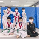 청록태권도장 이미지