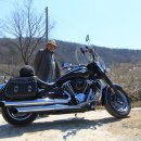 야생초마을아미골 이미지