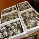만석부두 입구 (보세길) | 아쉬웠던 인천 간장게장맛집 전현무 무계획 식당 연안부두 동해식당