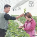 이루리농장 이미지