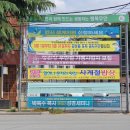 현수막 지정 게시대 이미지