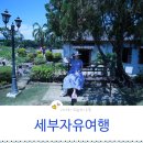 따오기퓨전요리 | 세부 자유여행 먹고 놀았던 코스 정리