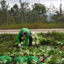 하늘농원 옆 이미지