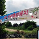 사구해수욕장2 이미지