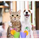 센트럴타워 5차 이미지