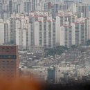 과천신도시 공인중개사사무소 이미지