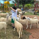 아담 목장 이미지