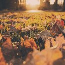 GS칼텍스 엄마주유소 이미지