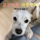 담쟁이보쌈집 | 담쟁이보쌈집 울산 남구 한식 맛집 대공원 옥동 모임 연말