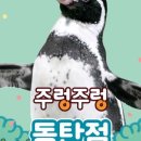 와이에스제이 네이버블로그
