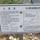 상촌 버스정류소 이미지