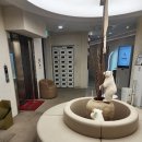 더마름 신논현역점 | 교대역운동 대신 선택한 더마름 신논현역점 전신다이어트 관리 솔직후기