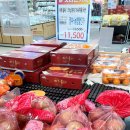 회천농협 하나로마트 | 청주농협 하나로마트 사운로점 방문 후기 청주 마트 추천