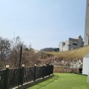 더설렘풀빌라펜션