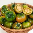 토마토 - 해운대구 송정중앙로 40-22 | 토마토